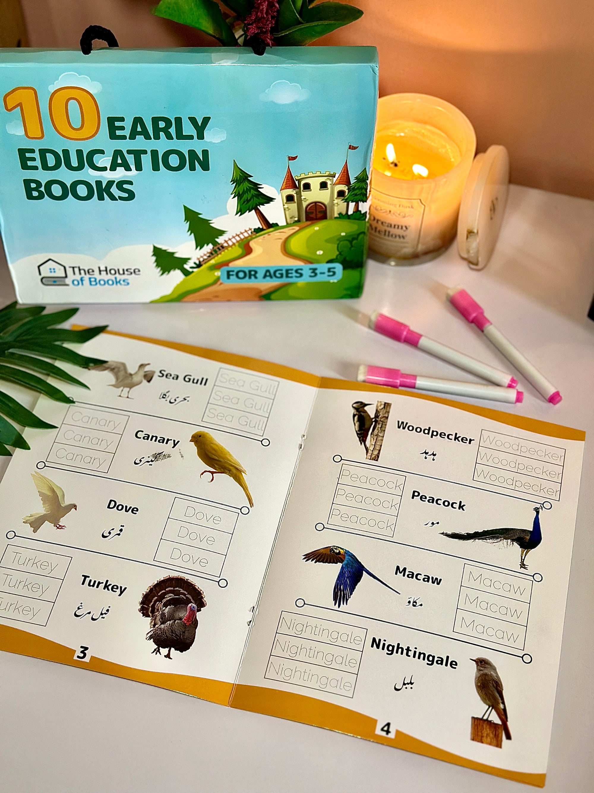 10 Write &amp; Wipe Children Books Set