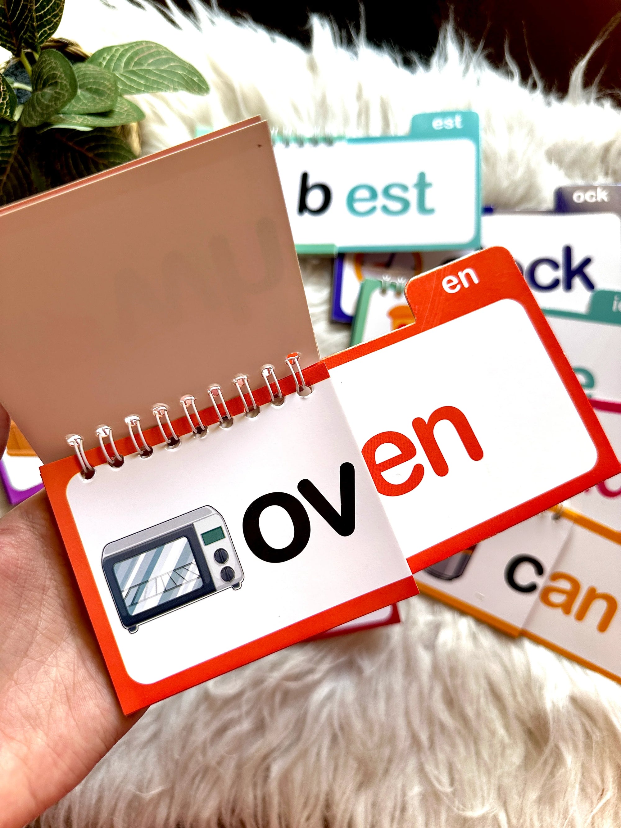 30 Read and Rhyme Flip Books - 300 Words Phonics Set