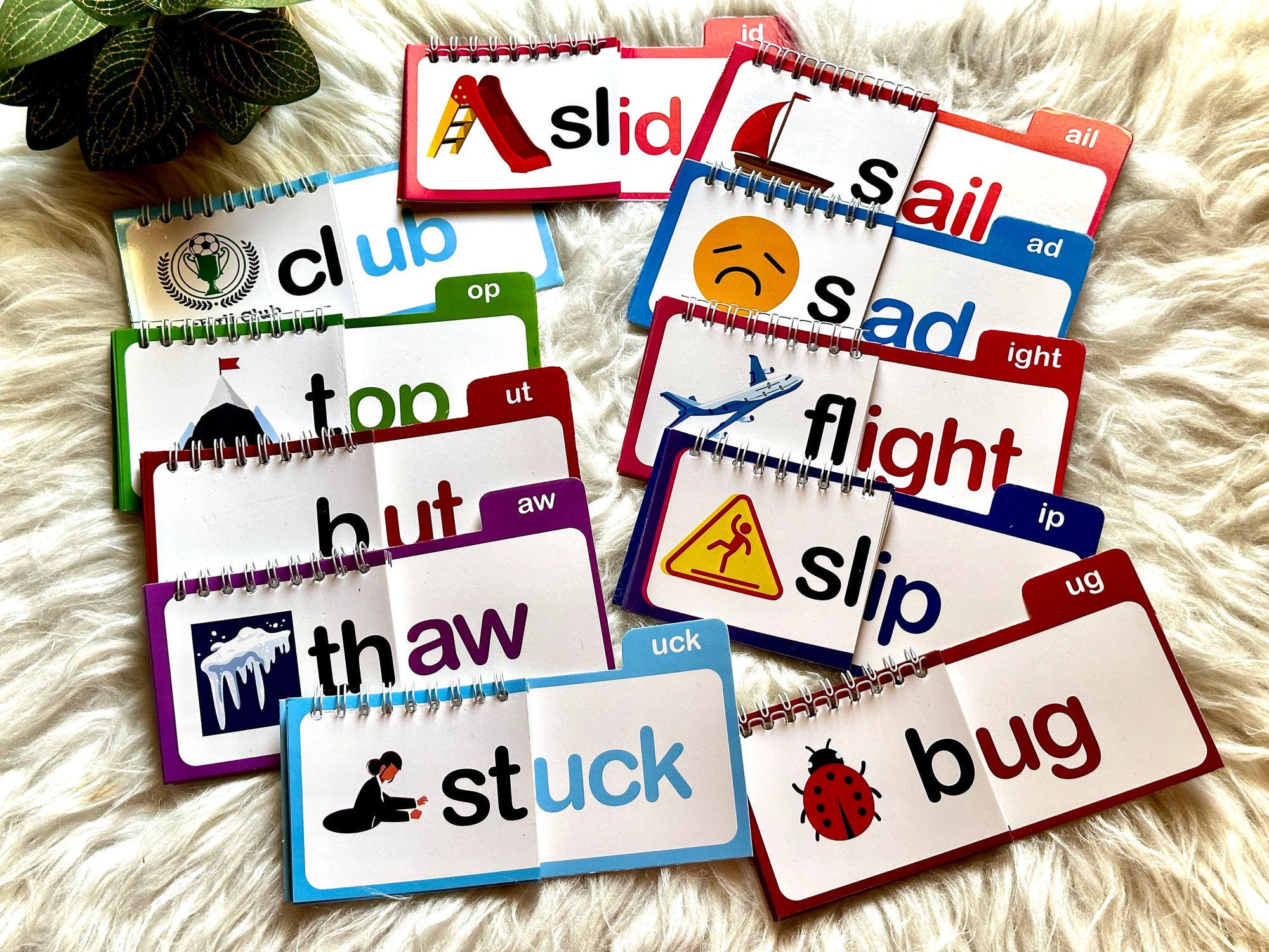 30 Read and Rhyme Flip Books - 300 Words Phonics Set
