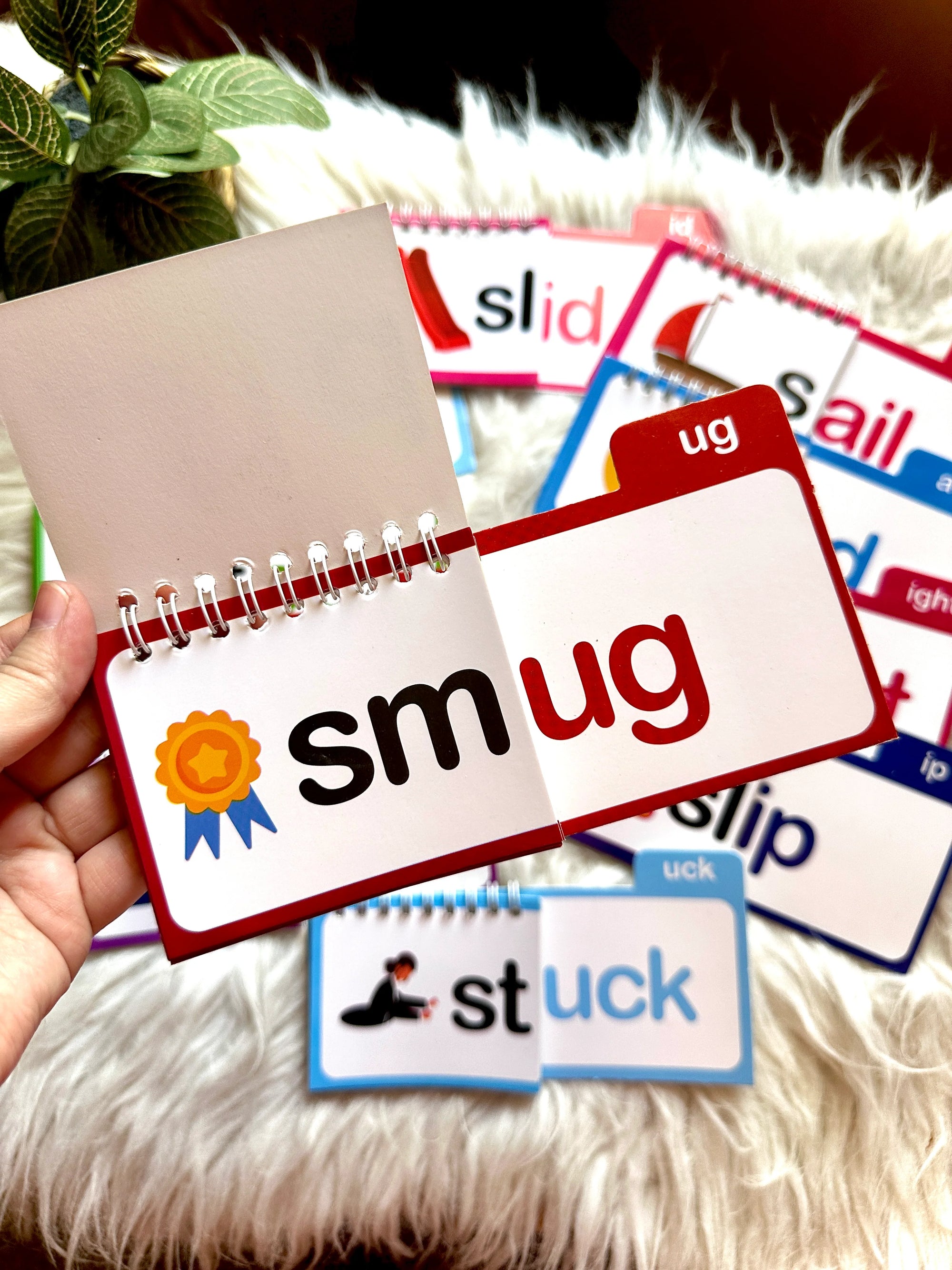 30 Read and Rhyme Flip Books - 300 Words Phonics Set