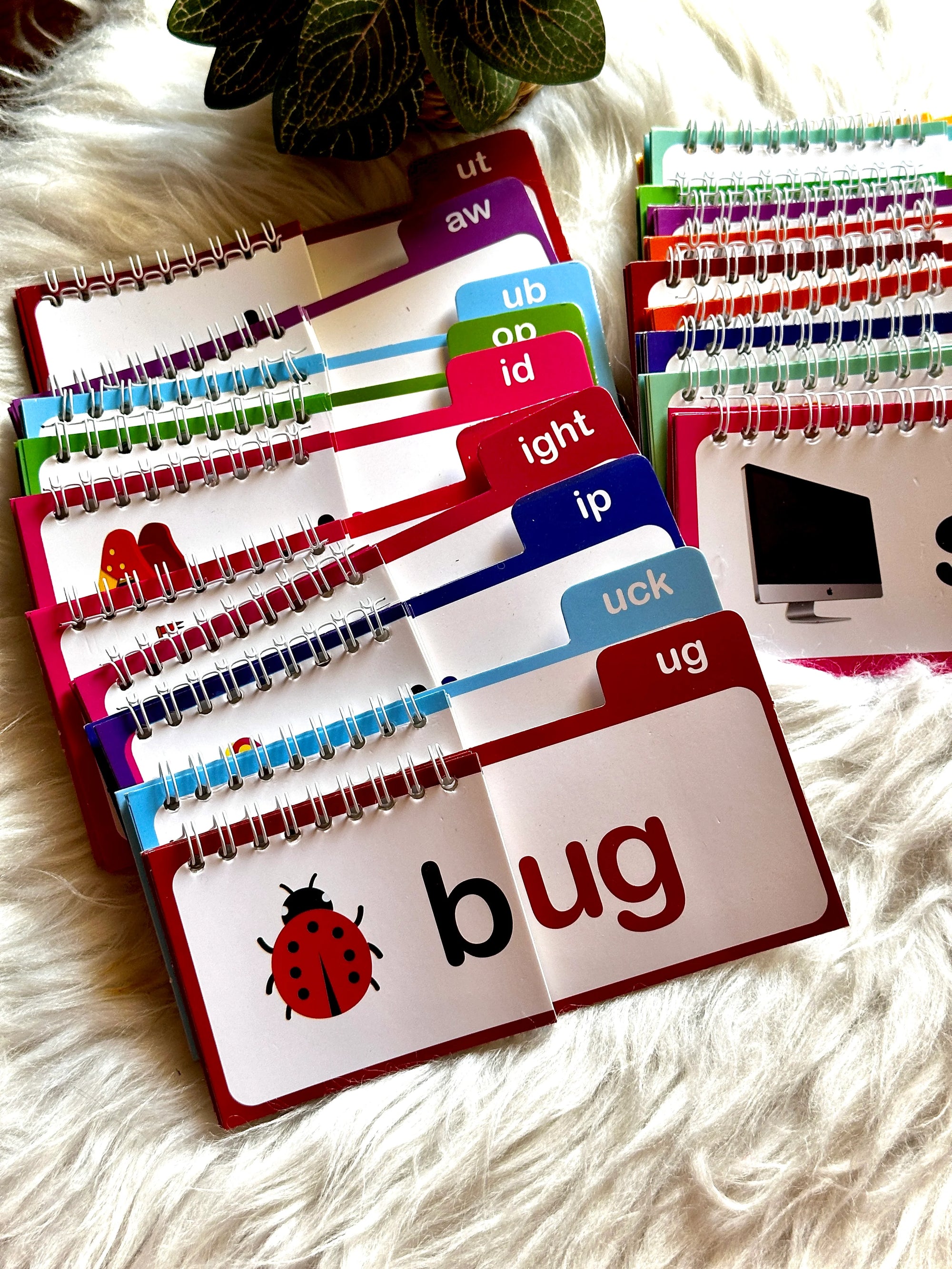 30 Read and Rhyme Flip Books - 300 Words Phonics Set