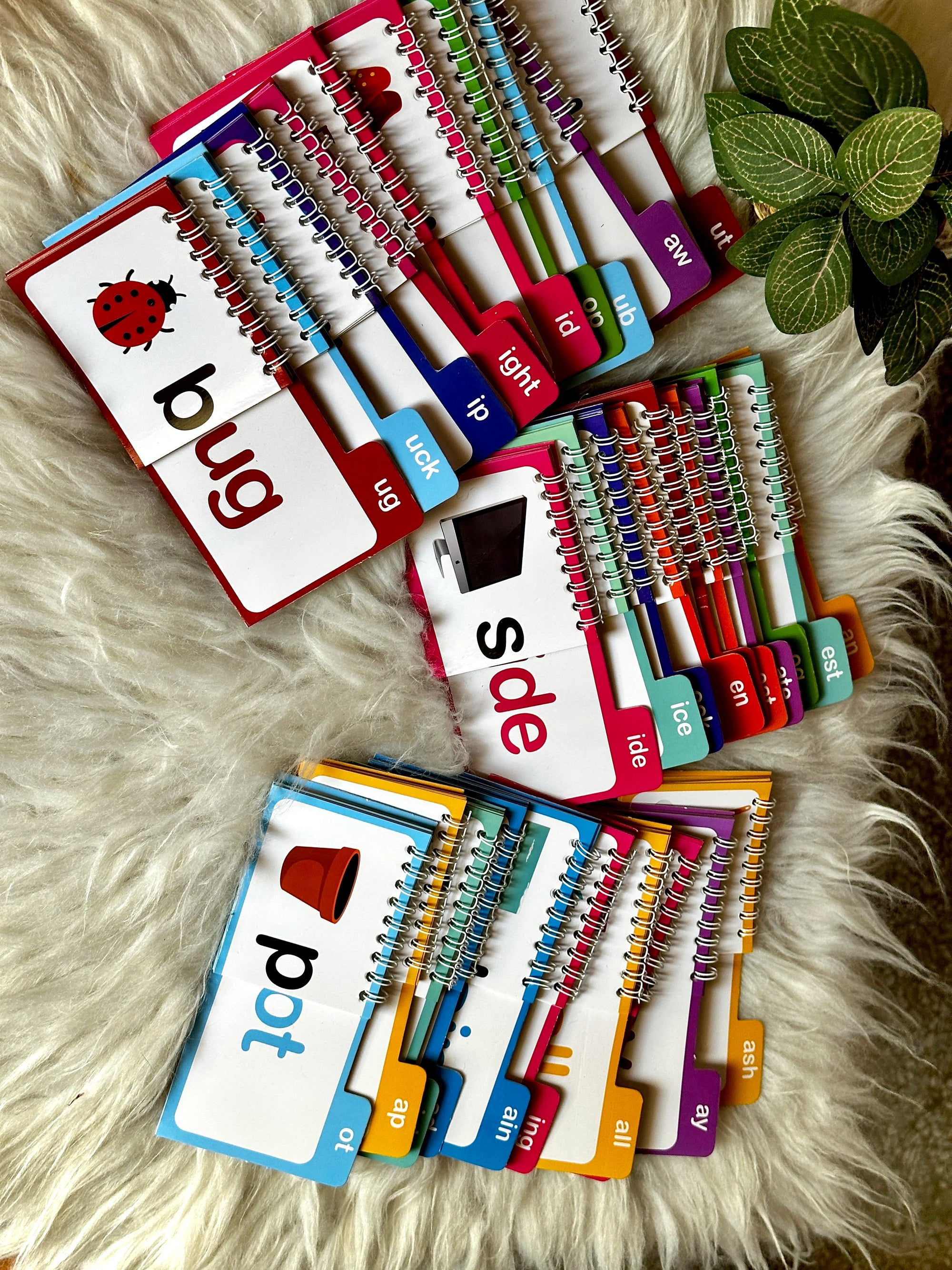 30 Read and Rhyme Flip Books - 300 Words Phonics Set